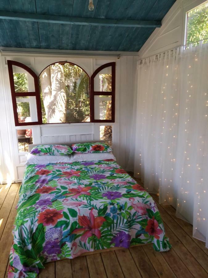 El Jardin De Las Hadas Turre Εξωτερικό φωτογραφία